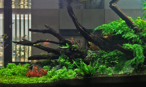 27912583_330162594156929_3737158186651380071_o