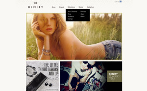 Benity_Web01