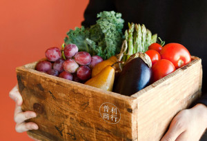 Grefun-Portfolio04普利01