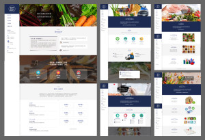 Grefun-Portfolio04普利03