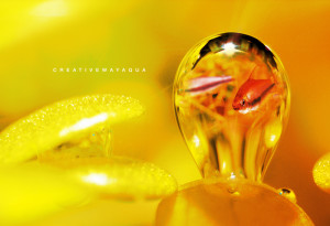 Grefun-Portfolio_CWA05