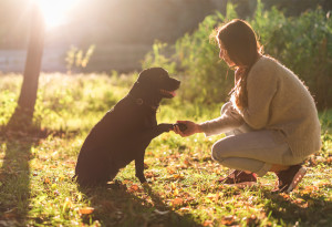 Grefun-Portfolio_保動協會01