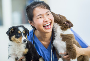 Grefun-Portfolio_保動協會03