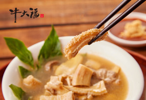 Grefun-Portfolio_牛大福01