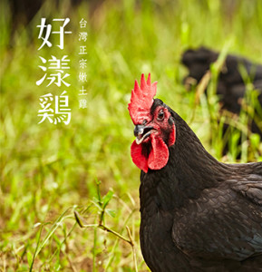 Grefun_Portfolio_S_好樣雞