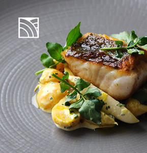 Grefun_Portfolio_S_金富海洋