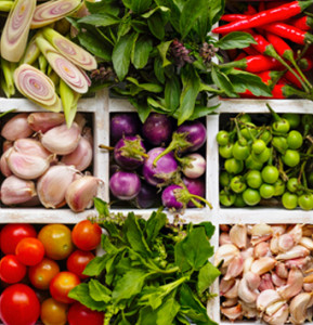 Grefun_Portfolio_S普利