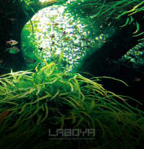 Grefun_Portfolio_S雷堡雅