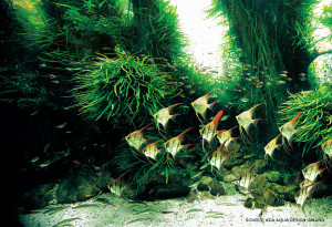 Grefun_Portfolio_雷堡雅02