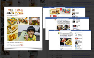 Portfolio_旺萊山05