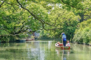 shutterstock_380780818-1000x665